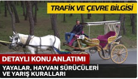 Yayalar, Hayvan Sürücüleri ve Yarışlar Hakkında Kurallar 